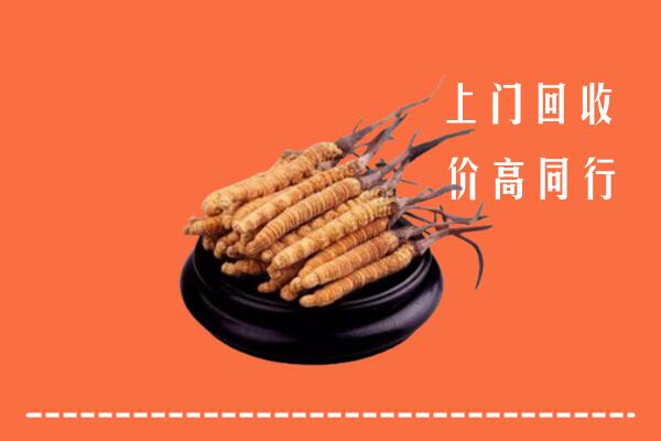 林芝回收散虫草