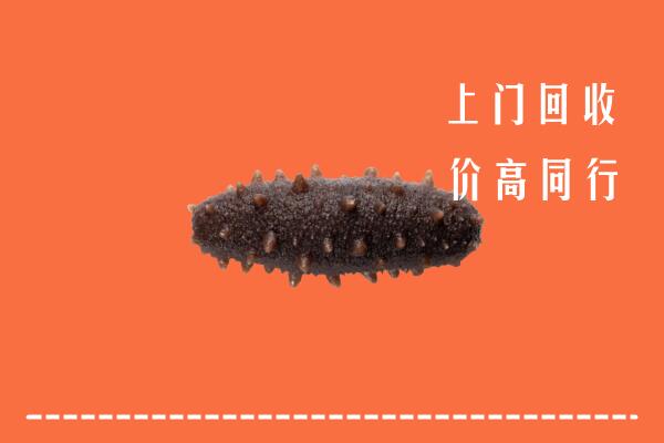林芝高价回收海参